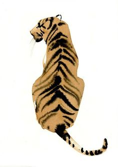 Tiger #stripes #tiger