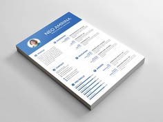 Free Simple PSD Resume Template for Designer
