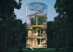 Tubular glass house by Aibek Almassov wraps around a full-grown tree