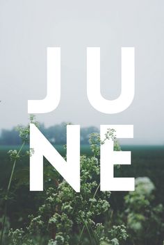 JUNE / Typography