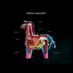 Piñata Anatomy phildesignart #pinata