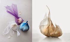 Photography by Sue Tallon #inspiration #photography #food