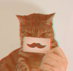 Untitled | Flickr - Photo Sharing! #business #branding #card #ideas #moustache