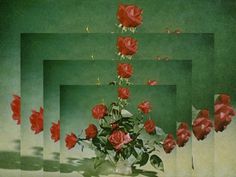 Chimes&Rhymes | innovative design and new techniques in visual artistry #red #motion #roses #repeat #green
