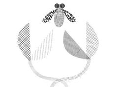 Venus fly trap #pattern #grayscale #trap #illustration #fly