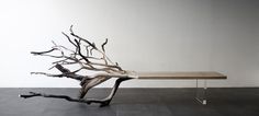 CJWHO ™ (FallenTree: Half Tree, Half Bench by Benjamin...) #tree #design #bench #wood #furniture #photography #clever