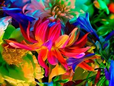 Torkil Gudnason #color #floral #flowers
