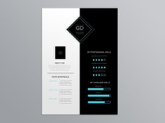 Free Attractive Infographic Resume Template for Job Seeker
