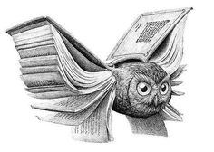 Illustrations for Inspirations 33 | Lyemium #pages #owl #flight #book #bird #flying #illustration #fly #sketch