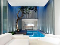 CJWHO ™ (55 Blair Road / Ong #ong #tree #design #interiors #& #pool #photography #architecture #singapore #luxury