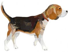 Darren Booth Hand-lettering & Illustration #collage #beagle #dog