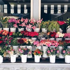 Likes | Tumblr #flowers