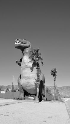 _CA+ __california ___Cabazon, dinosaur PHOTOGRAPHIE © [ catrin mackowski ]
