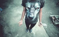 http://25.media.tumblr.com/tumblr_lz44bhZq6p1qcpwebo1_500.jpg #blue #lifestyle #wolf #gray
