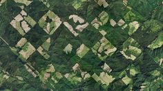 Oregon #satellite #earth #pattern #green