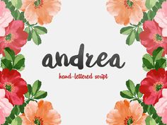 Andrea Script: Free Hand-lettered Font
