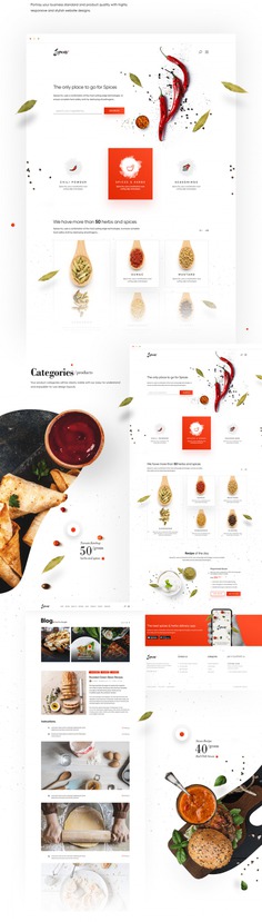 Recipes & Spice Website and Branding.