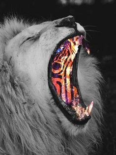 Technosoul #lion #roar