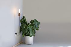 Wald by David Okum #design #light #minimalism