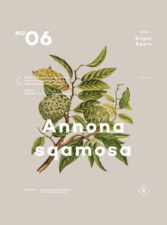Roundup: Graphic Design Inspiration – From up North
