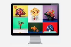 09 joaquin #photgraphy #webdesign #flowers