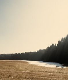 maerz11_07.jpg (JPEG-Grafik, 558x650 Pixel) #sun #jochen #cold #black #photography #forest #pach #winter