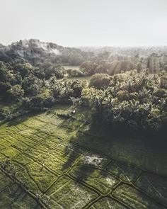 Sri Lanka From Above: Stunning Drone Photography by Vitor Esteves