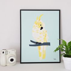 #nordic #design #graphic #illustration #danish #bright #simple #nordicliving #living #interior #kids #room #poster #cockatoo #bird #yellow
