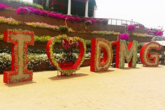 I Love DMG or Dubai Miracle Garden is another creative design at the Dubai Miracle Garden.
