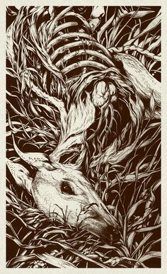 { teaganwhite } design & illustration #deer #skeleton #white #decay #black #illustration #nature #animal #and #dead #bones #death