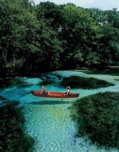 Tiffany Denise #plants #water #clear #greenery #travel #canoe #places