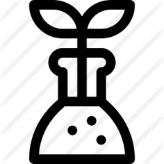 See more icon inspiration related to Tools and utensils, sprout, flasks, experiment, flask, biology, chemical, education, test tube, leaf, plant, chemistry, science and nature on Flaticon.