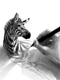 Platypus | 25711 | Wookmark #drawing #zebra
