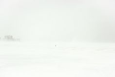 Paul Octavious - SNOmg #chicago #photography #white #snow