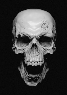 (75) Tumblr #skull