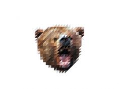 Victor van Gaasbeek • Graphic designer • Illustrator • The Sliced Pixel Project #design #graphic #pixel #illustration #bear