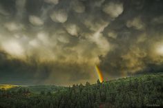 Touch The Sky | Flickr - Photo Sharing! #clouds #sky #robin #wilson #photography #rain #storm #forest #rainbow