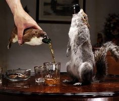 Taxidermy Squirrel Bottle Covers #beer #squirrel #taxidermy #party