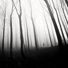 Ghost Of Perdition, photography by Christophe Dessaigne #forest