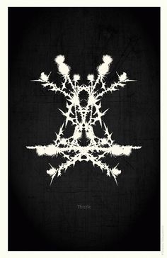 Flowers Poster Series #spikes #thistle #design #graphic #black #veronica #poster #flower #metal #velasquez