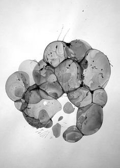 Bubble Drawings : Charlotte X. C. Sullivan #abstract #drawing #generative #mark making