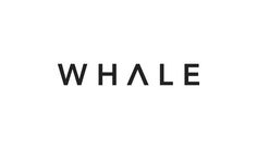 Elevn Co. / Whale Lifestyle Website #logotype #minimalism #clean #simple #logo #typography