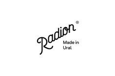 Radion by Egor Kevroletin #radion #iron #radiator
