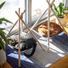 Tinker Adventure Cat Tipi Tent — minimalgoods