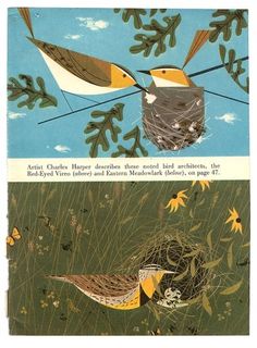 All sizes | American Bird Architects, Ford Times, Nov 1959 | Flickr - Photo Sharing! #book #birds #illustration #harper #charles