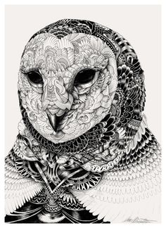 Owl portraits on Behance #mccarthur #iain