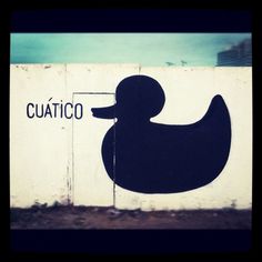 CUÁTICO | Gaucholadri #southamerica #gaucholadri #cuatico #art #street #chile