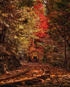 Colorful Autumn in Japan: Landscape Photography by Daisuke Uematsu