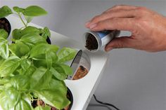 CJWHO ™ (Home Aquaponics Kit: Self Cleaning Fish Tank That...) #amazing #self #design #fish #tank #aquaponics #cleaning #kickstarter #clever