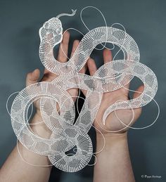 Superb Cut Paper Artworks by Pippa Dyrlaga | Colossal